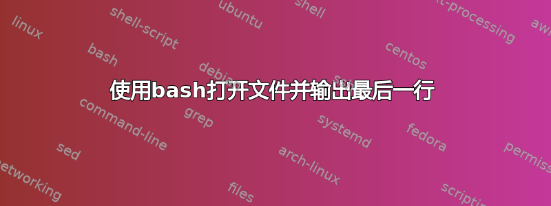 使用bash打开文件并输出最后一行