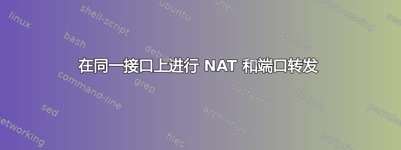 在同一接口上进行 NAT 和端口转发