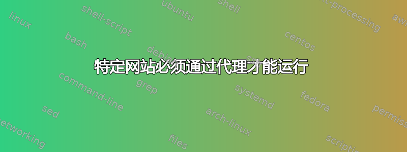 特定网站必须通过代理才能运行