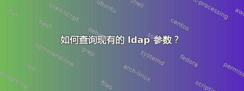 如何查询现有的 ldap 参数？