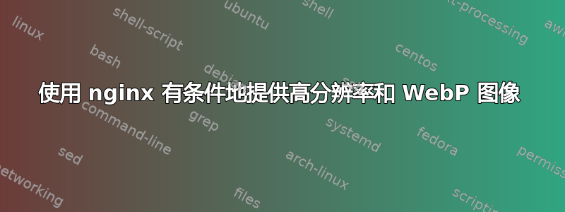 使用 nginx 有条件地提供高分辨率和 WebP 图像