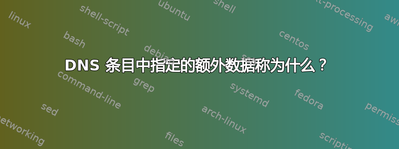 DNS 条目中指定的额外数据称为什么？