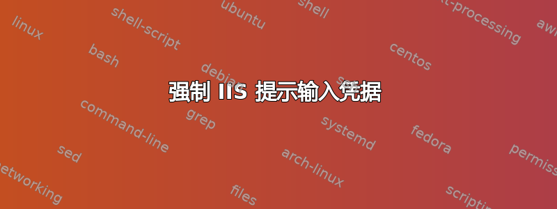 强制 IIS 提示输入凭据