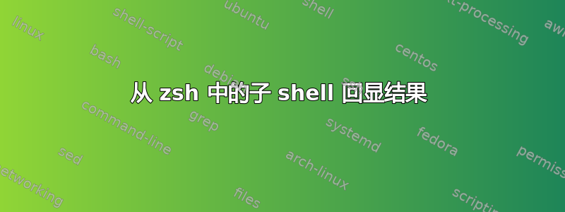 从 zsh 中的子 shell 回显结果