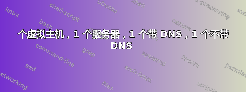 2 个虚拟主机，1 个服务器，1 个带 DNS，1 个不带 DNS