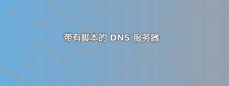 带有脚本的 DNS 服务器 