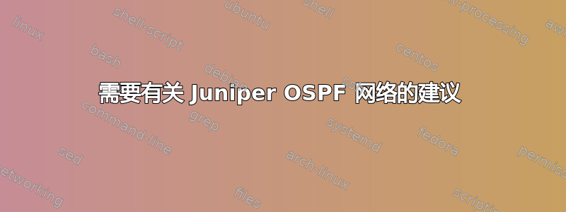 需要有关 Juniper OSPF 网络的建议