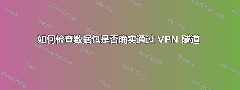 如何检查数据包是否确实通过 VPN 隧道