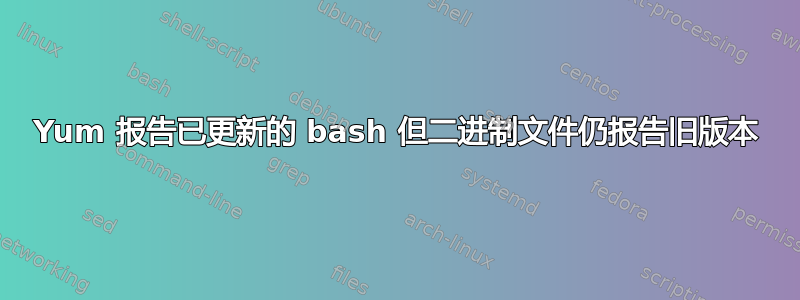 Yum 报告已更新的 bash 但二进制文件仍报告旧版本