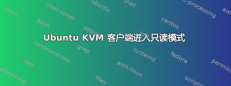 Ubuntu KVM 客户端进入只读模式