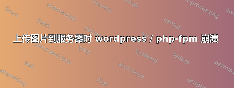 上传图片到服务器时 wordpress / php-fpm 崩溃