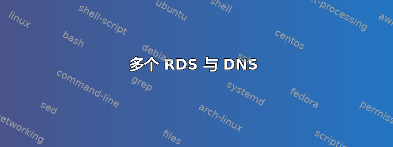 多个 RDS 与 DNS