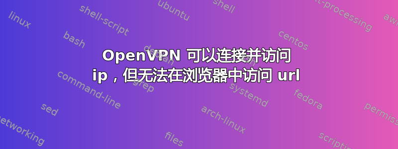 OpenVPN 可以连接并访问 ip，但无法在浏览器中访问 url