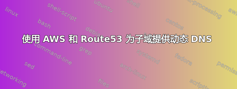 使用 AWS 和 Route53 为子域提供动态 DNS