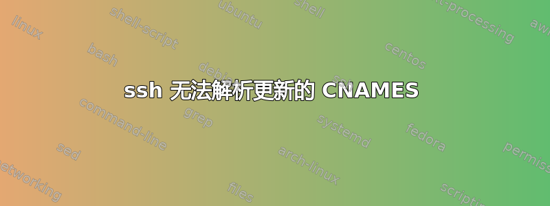 ssh 无法解析更新的 CNAMES