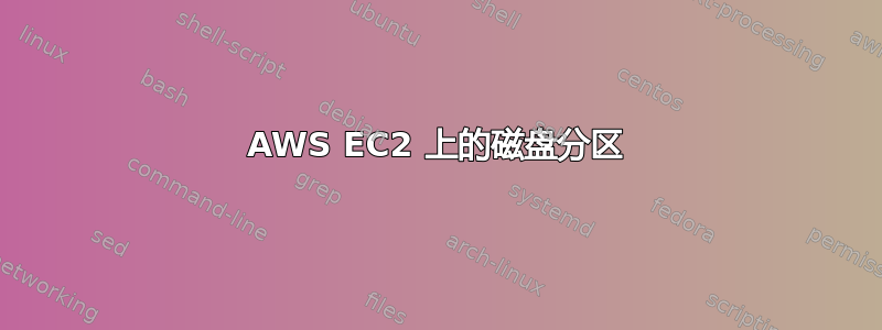 AWS EC2 上的磁盘分区