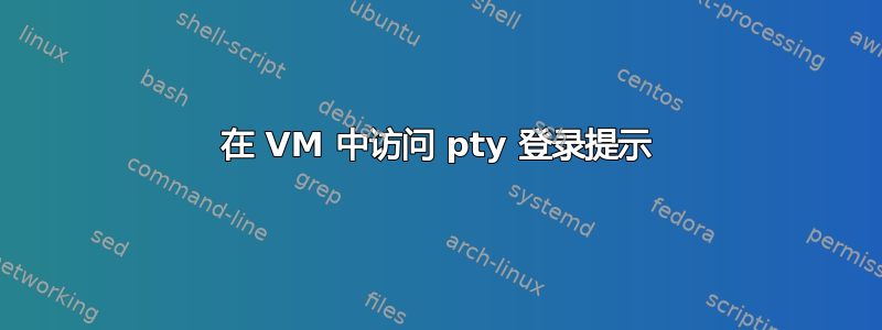 在 VM 中访问 pty 登录提示