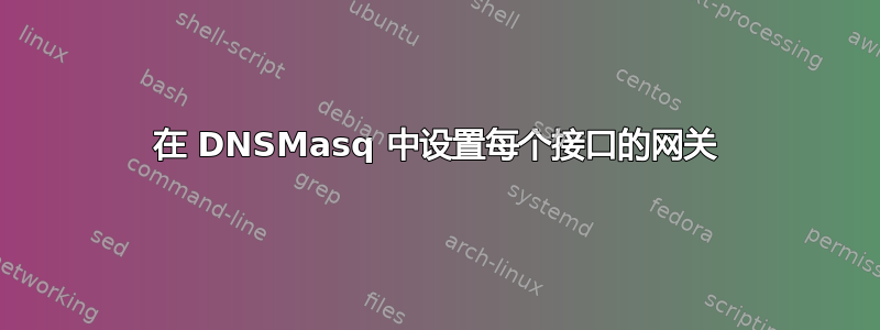 在 DNSMasq 中设置每个接口的网关