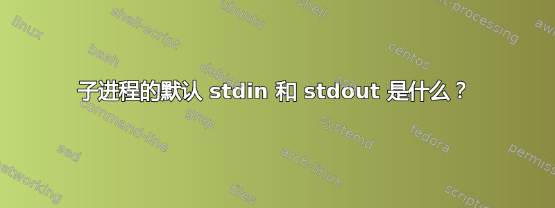 子进程的默认 stdin 和 stdout 是什么？