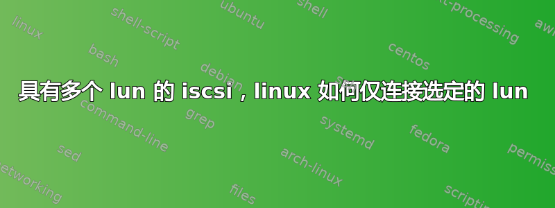 具有多个 lun 的 iscsi，linux 如何仅连接选定的 lun