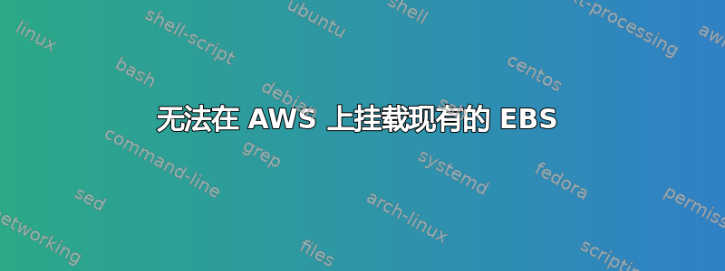 无法在 AWS 上挂载现有的 EBS