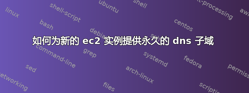 如何为新的 ec2 实例提供永久的 dns 子域