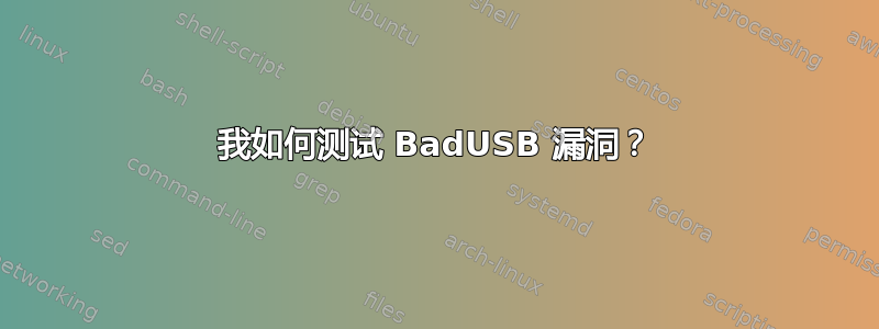 我如何测试 BadUSB 漏洞？