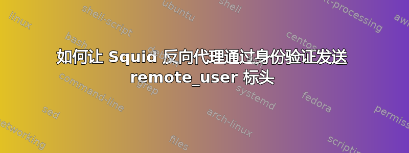 如何让 Squid 反向代理通过身份验证发送 remote_user 标头