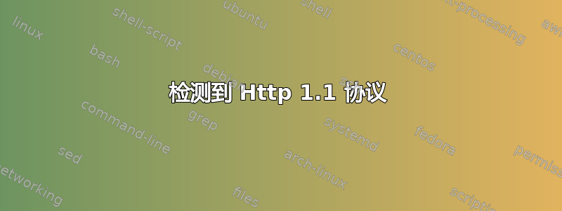 检测到 Http 1.1 协议