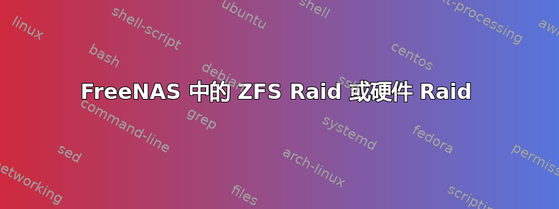 FreeNAS 中的 ZFS Raid 或硬件 Raid