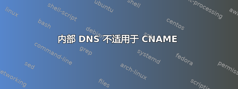 内部 DNS 不适用于 CNAME