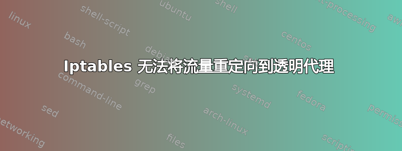 Iptables 无法将流量重定向到透明代理