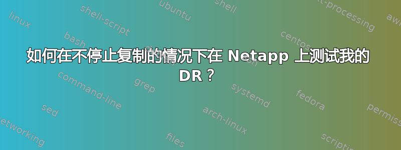 如何在不停止复制的情况下在 Netapp 上测试我的 DR？