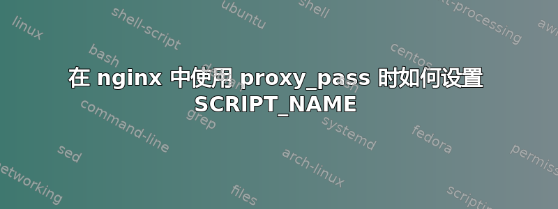 在 nginx 中使用 proxy_pass 时如何设置 SCRIPT_NAME