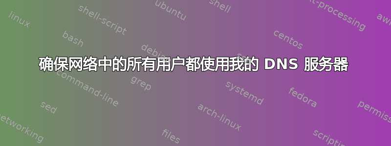 确保网络中的所有用户都使用我的 DNS 服务器