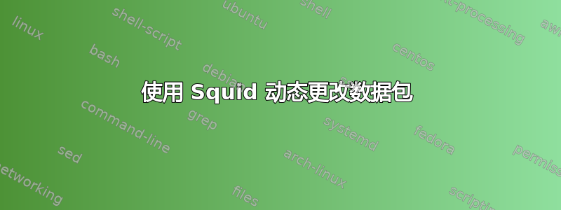 使用 Squid 动态更改数据包