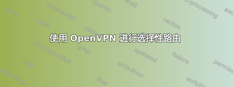 使用 OpenVPN 进行选择性路由