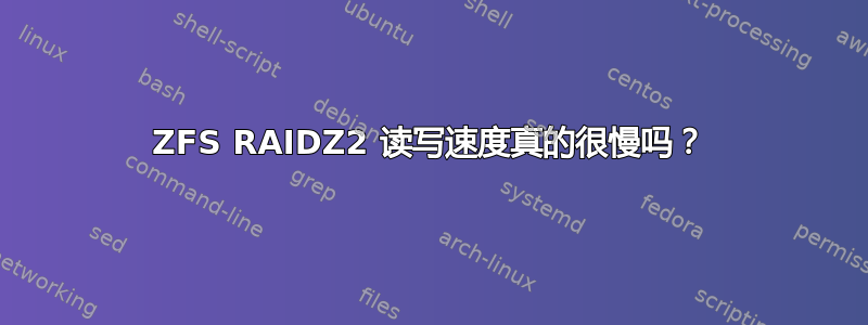 ZFS RAIDZ2 读写速度真的很慢吗？