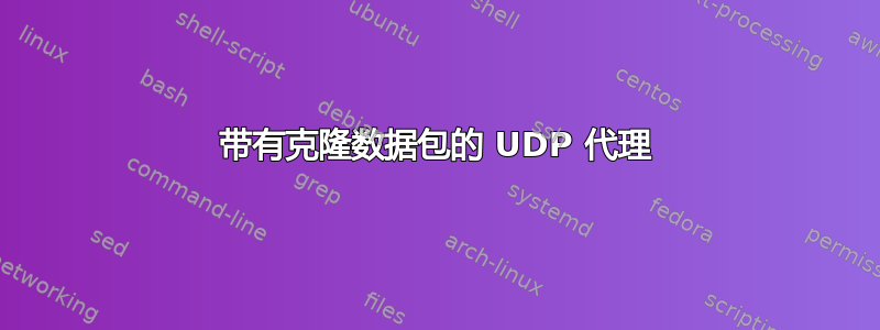 带有克隆数据包的 UDP 代理