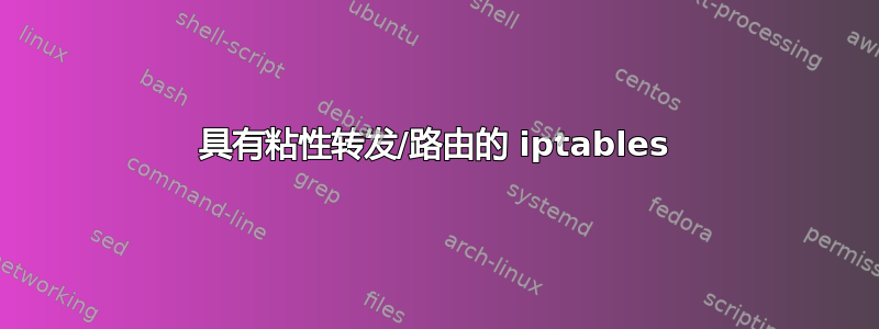 具有粘性转发/路由的 iptables