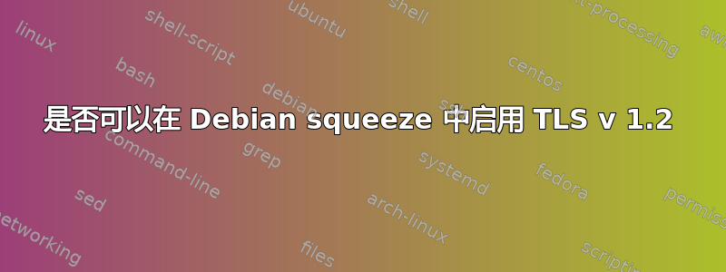 是否可以在 Debian squeeze 中启用 TLS v 1.2