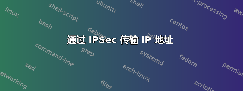 通过 IPSec 传输 IP 地址