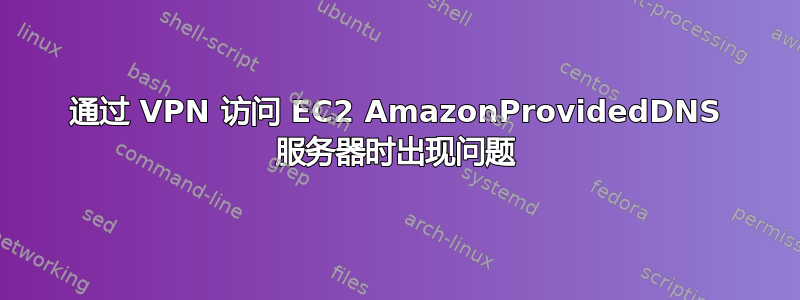 通过 VPN 访问 EC2 AmazonProvidedDNS 服务器时出现问题