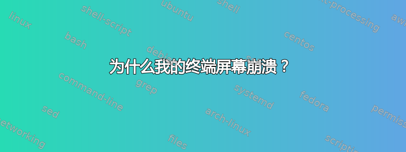 为什么我的终端屏幕崩溃？