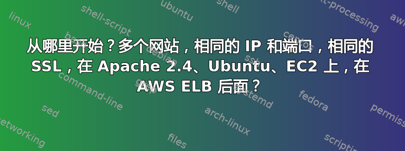 从哪里开始？多个网站，相同的 IP 和端口，相同的 SSL，在 Apache 2.4、Ubuntu、EC2 上，在 AWS ELB 后面？