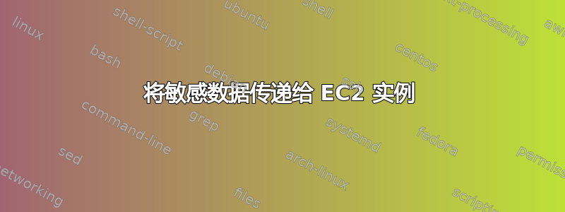 将敏感数据传递给 EC2 实例