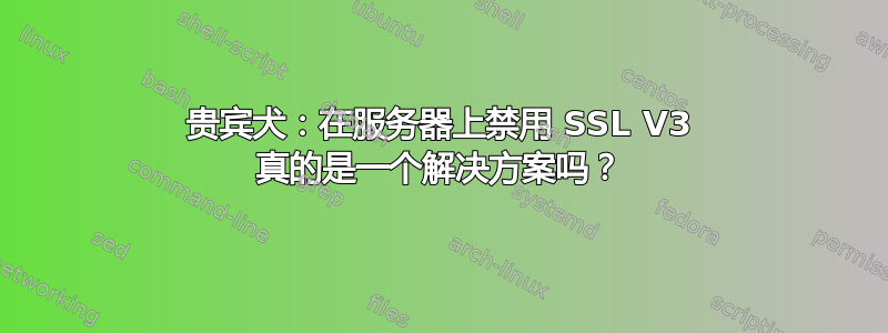 贵宾犬：在服务器上禁用 SSL V3 真的是一个解决方案吗？