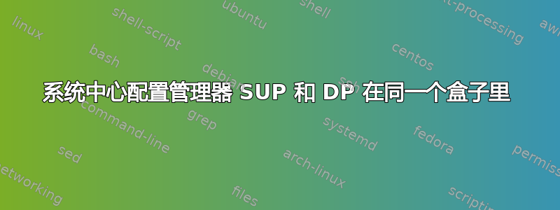 系统中心配置管理器 SUP 和 DP 在同一个盒子里