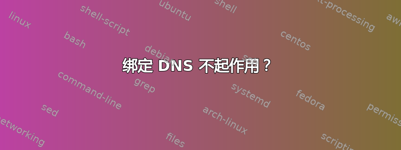 绑定 DNS 不起作用？