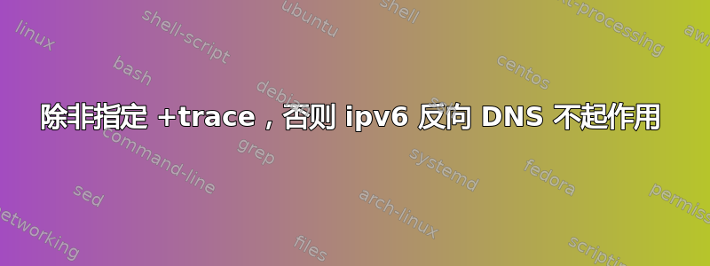 除非指定 +trace，否则 ipv6 反向 DNS 不起作用